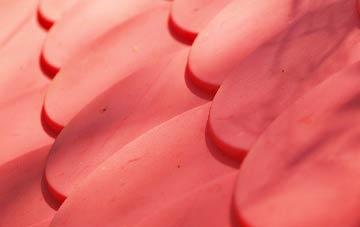 West Putford plastic roof costs