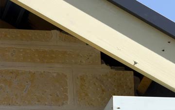 soffit repair West Putford