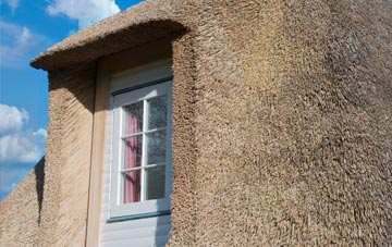 West Putford thatch roof disadvantages